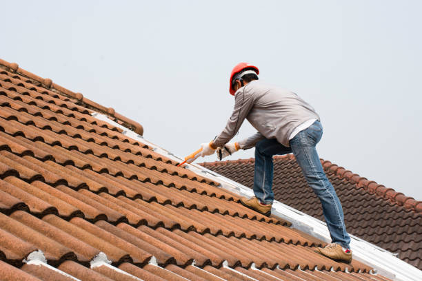 Best Tile Roofing Installation  in Edcouch, TX